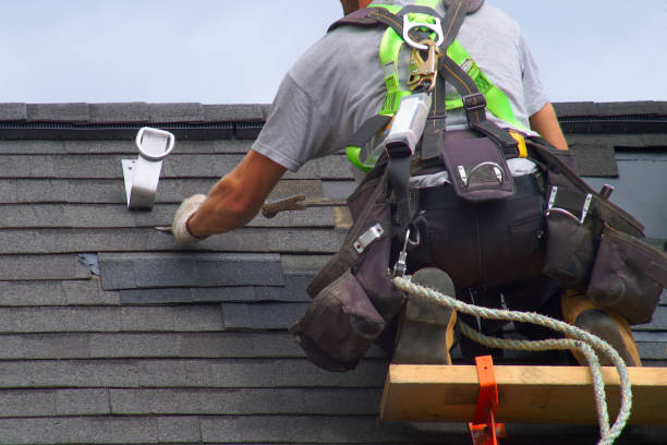Best Roof Gutter Cleaning  in Pomona, NJ