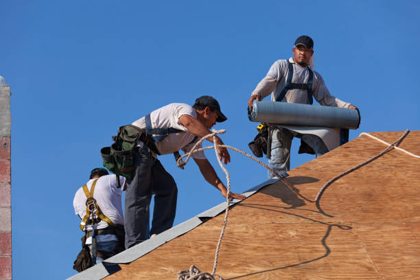 Best Roof Maintenance Services  in Pomona, NJ
